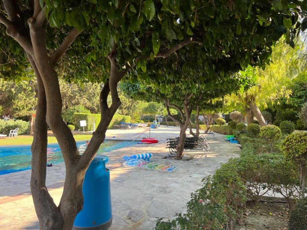 Cozy Apartment In Paphos Beautiful Complex Dış mekan fotoğraf